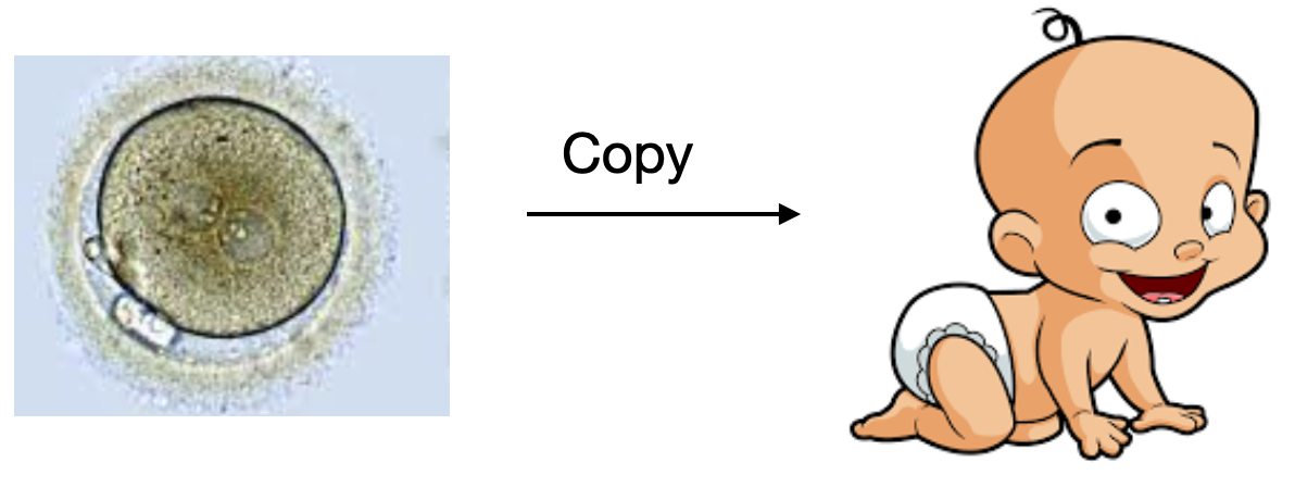 Interpolate start reference image.