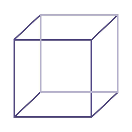 Mental Imagery Figure 6